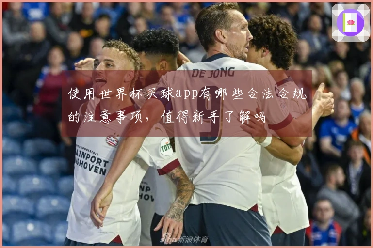 使用世界杯买球app有哪些合法合规的注意事项，值得新手了解吗
