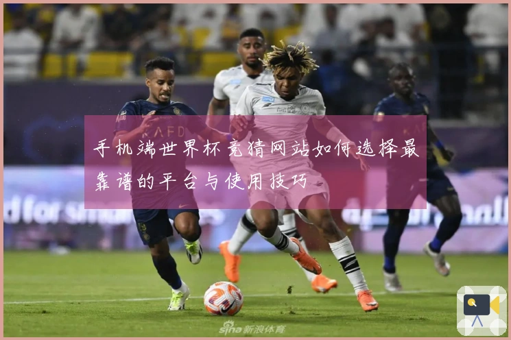 手机端世界杯竞猜网站如何选择最靠谱的平台与使用技巧